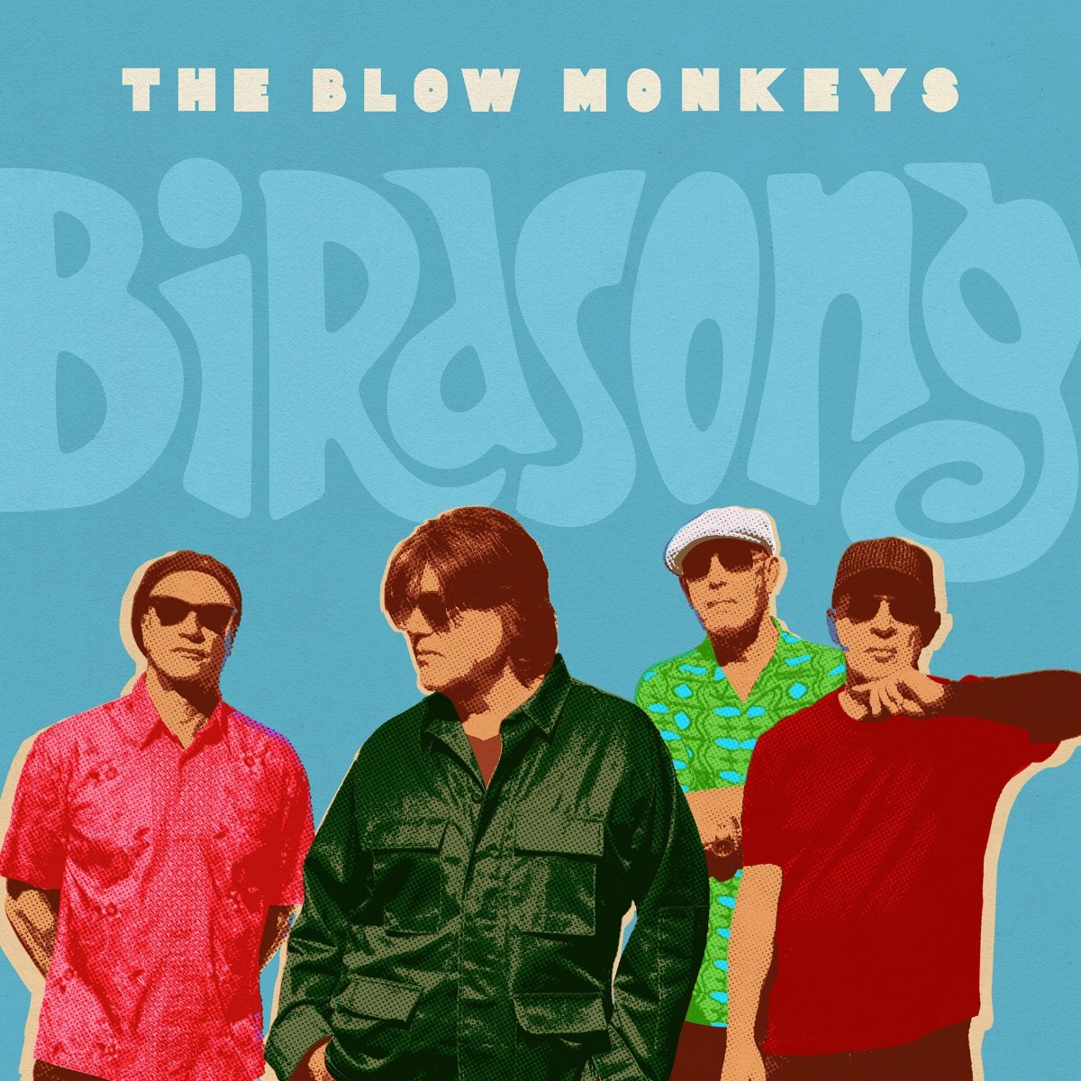 Afbeelding van The Blow Monkeys - Birdsong