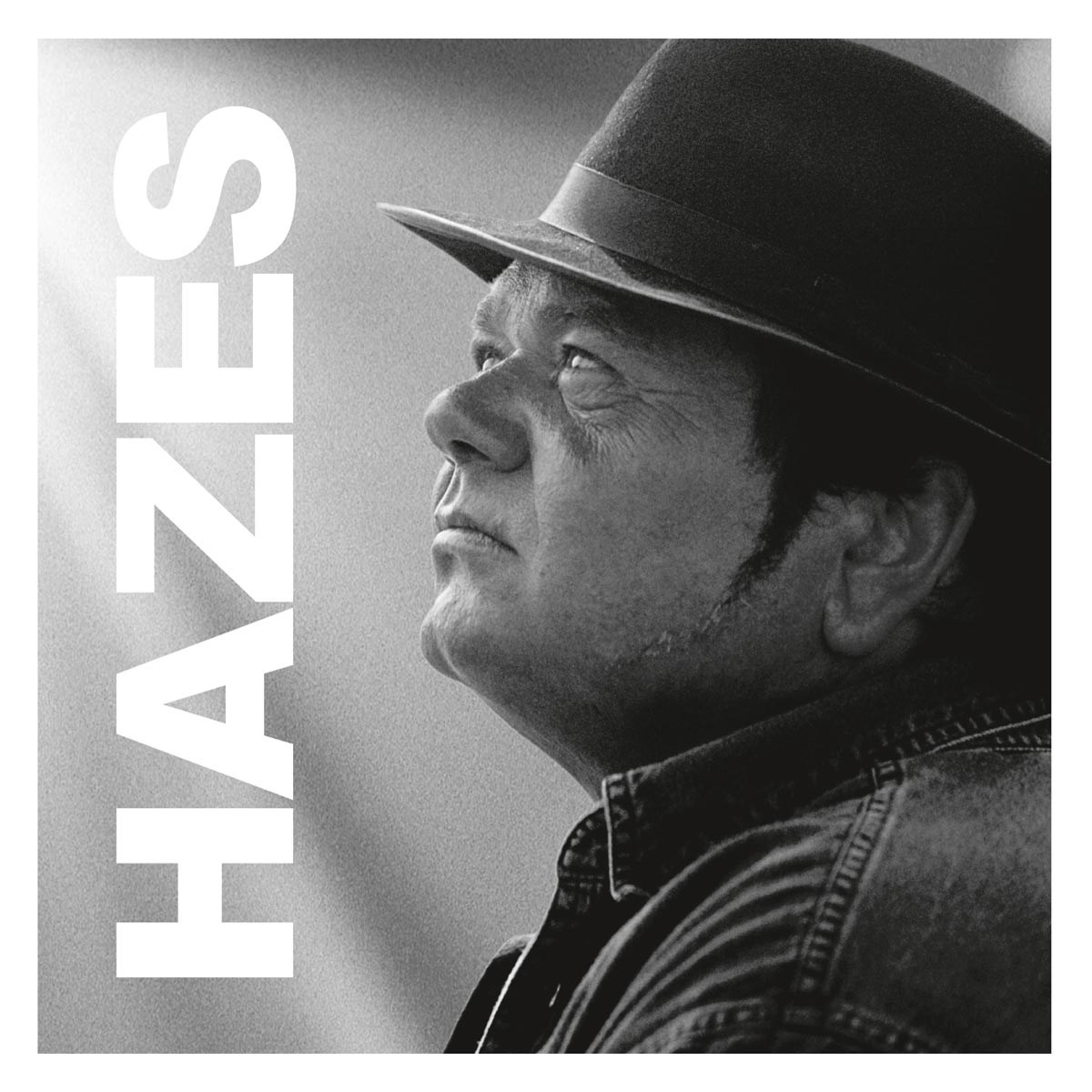 Afbeelding van André Hazes - Hazes