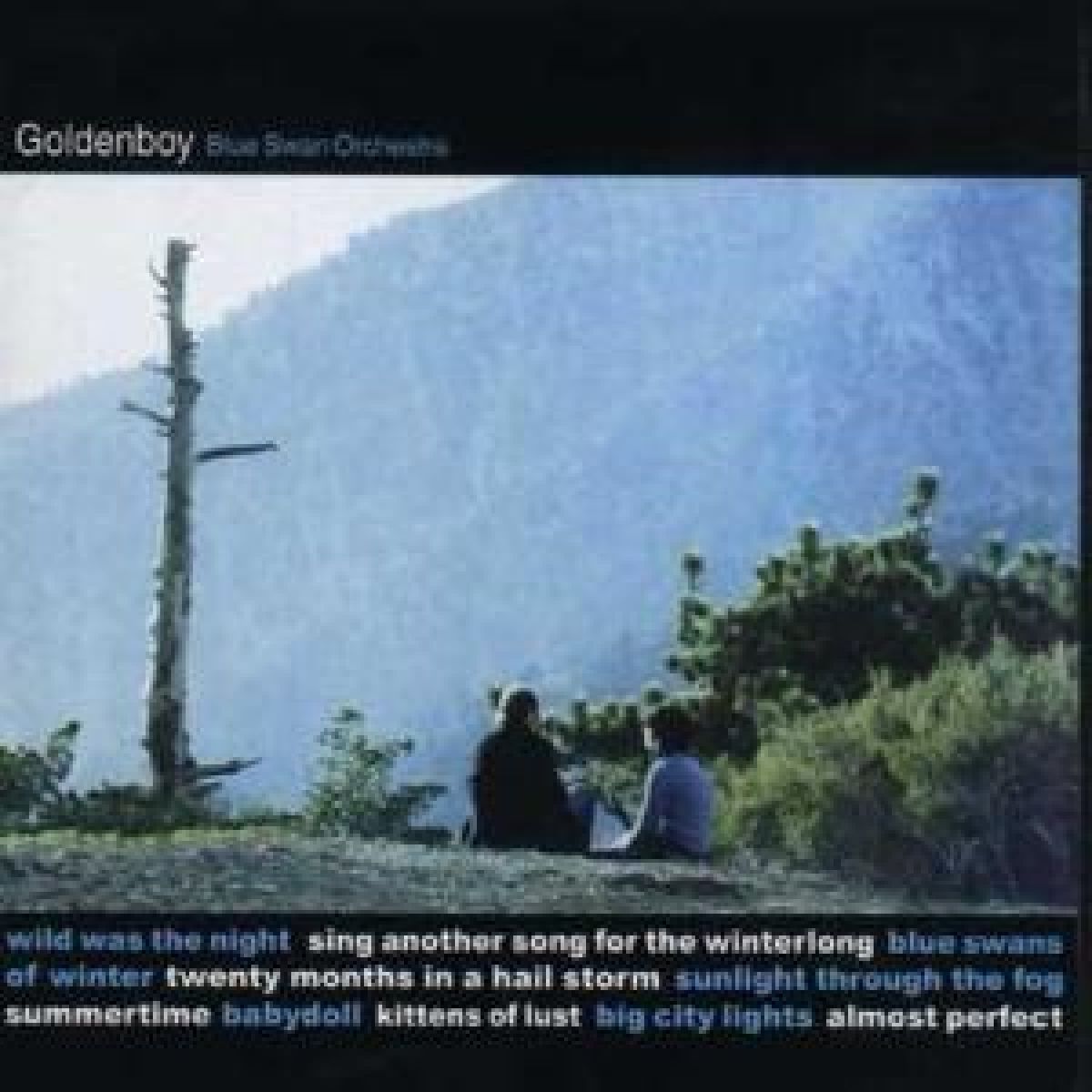 Afbeelding van Goldenboy - Blue Swan Orchestra