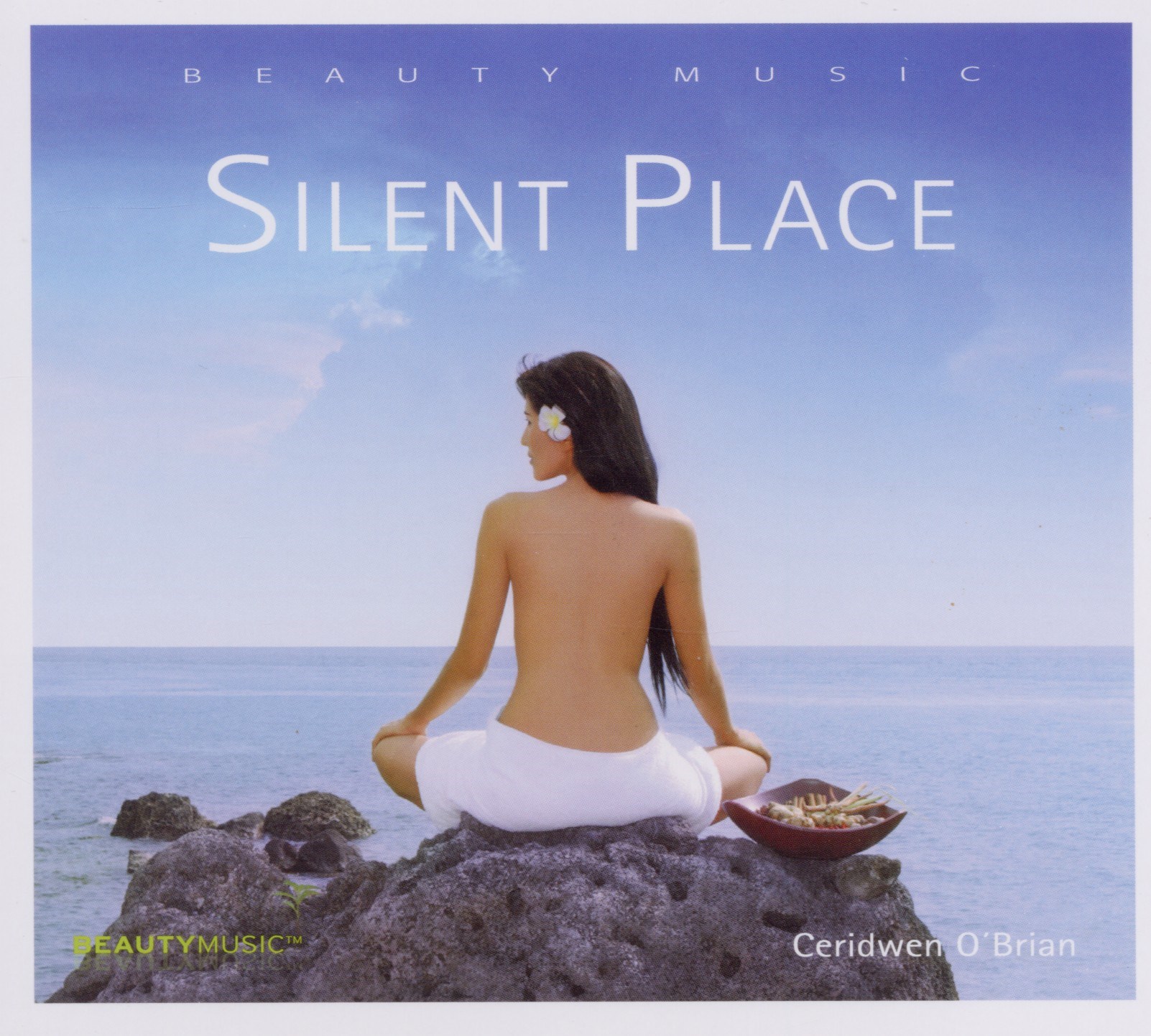 Afbeelding van Ceridwen O'Brian - Silent Place