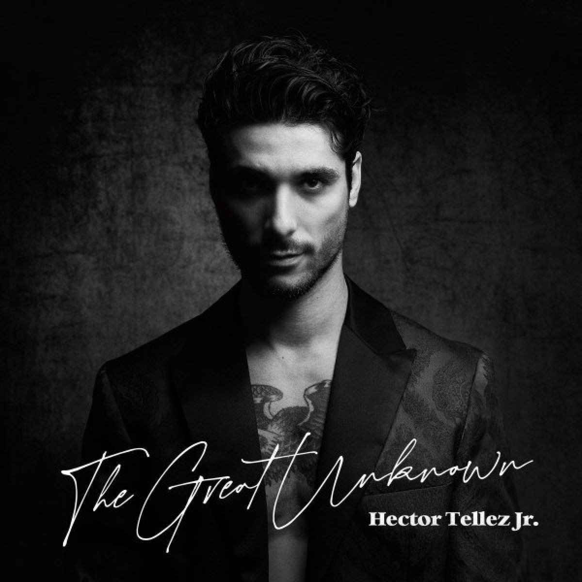 Afbeelding van Hector Tellez Jr - The Great Unknown