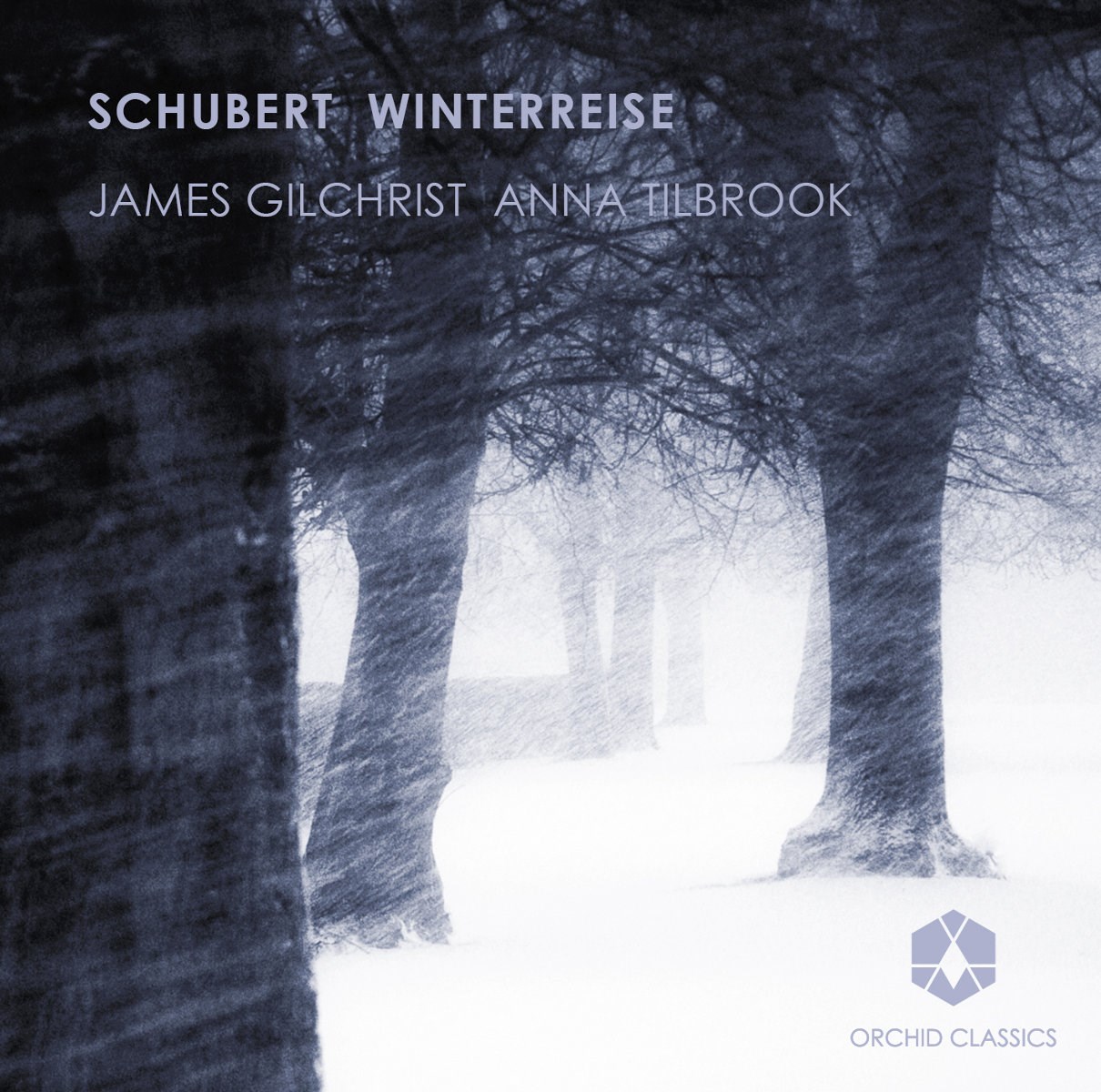 Afbeelding van James Gilchrist & Anna Tilbrook - Schubert: Winterreise
