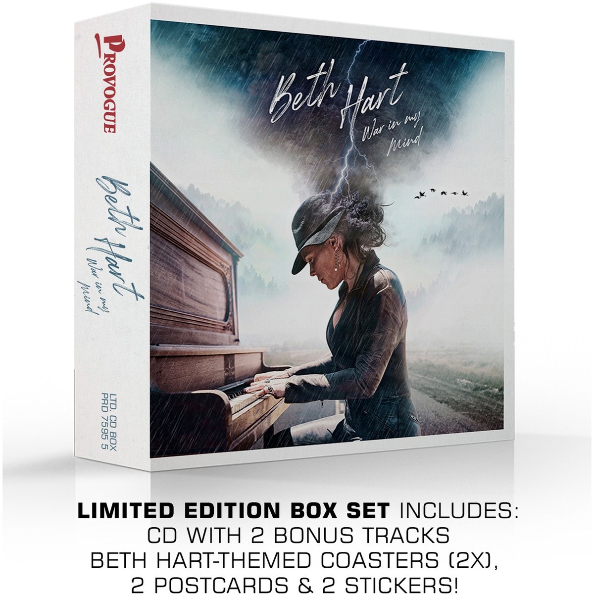 Afbeelding van Beth Hart - War In My Mind