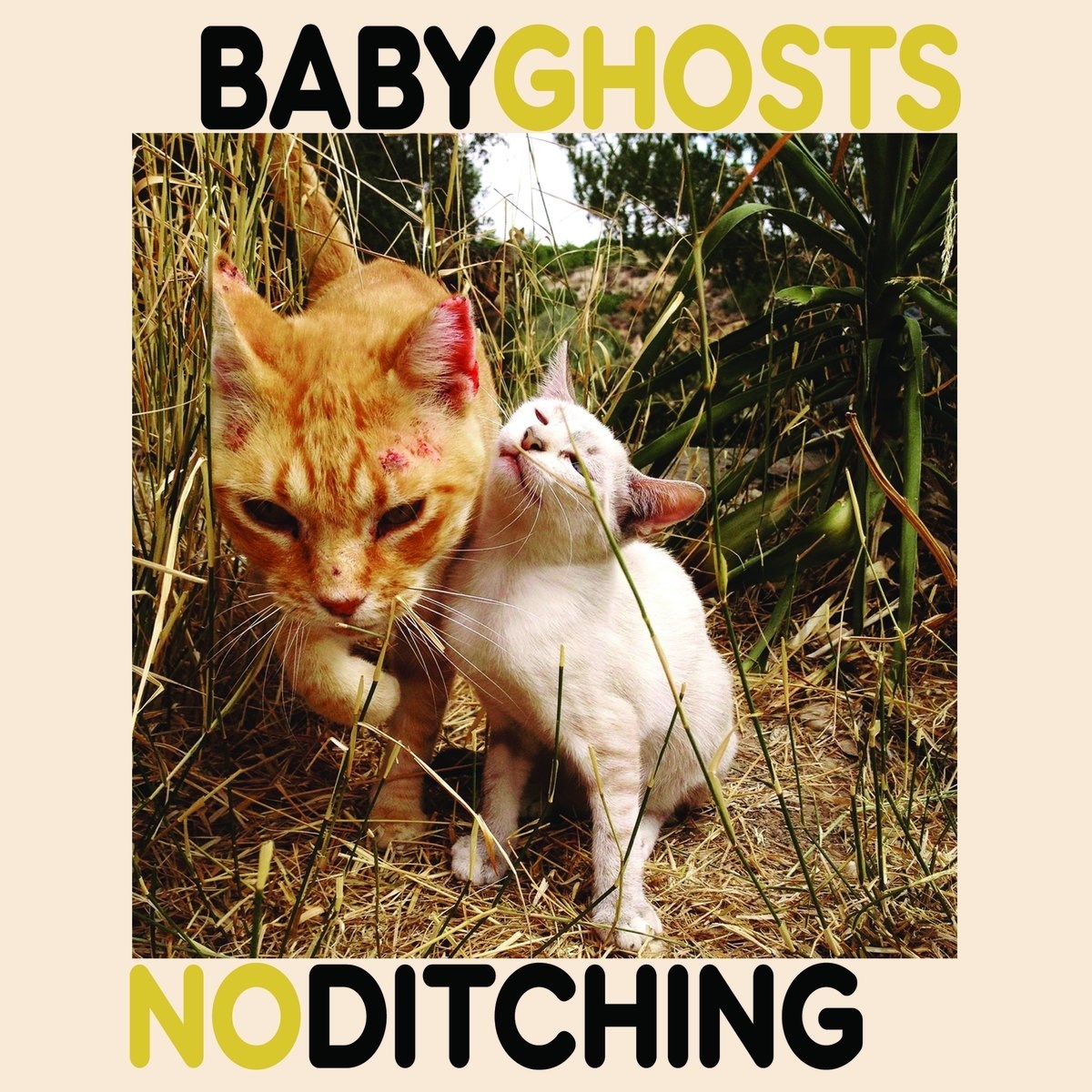 Afbeelding van No Ditching & Baby Ghosts - Split