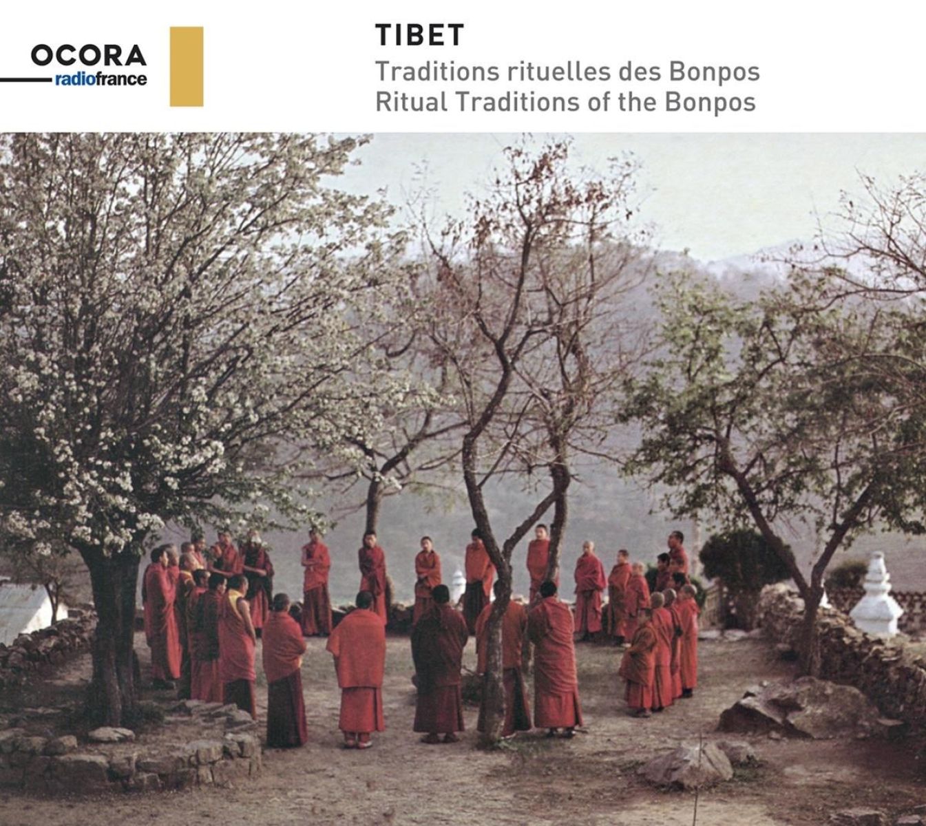 Afbeelding van Various Artists - Tibet: Ritual Traditions Of The Bonpos
