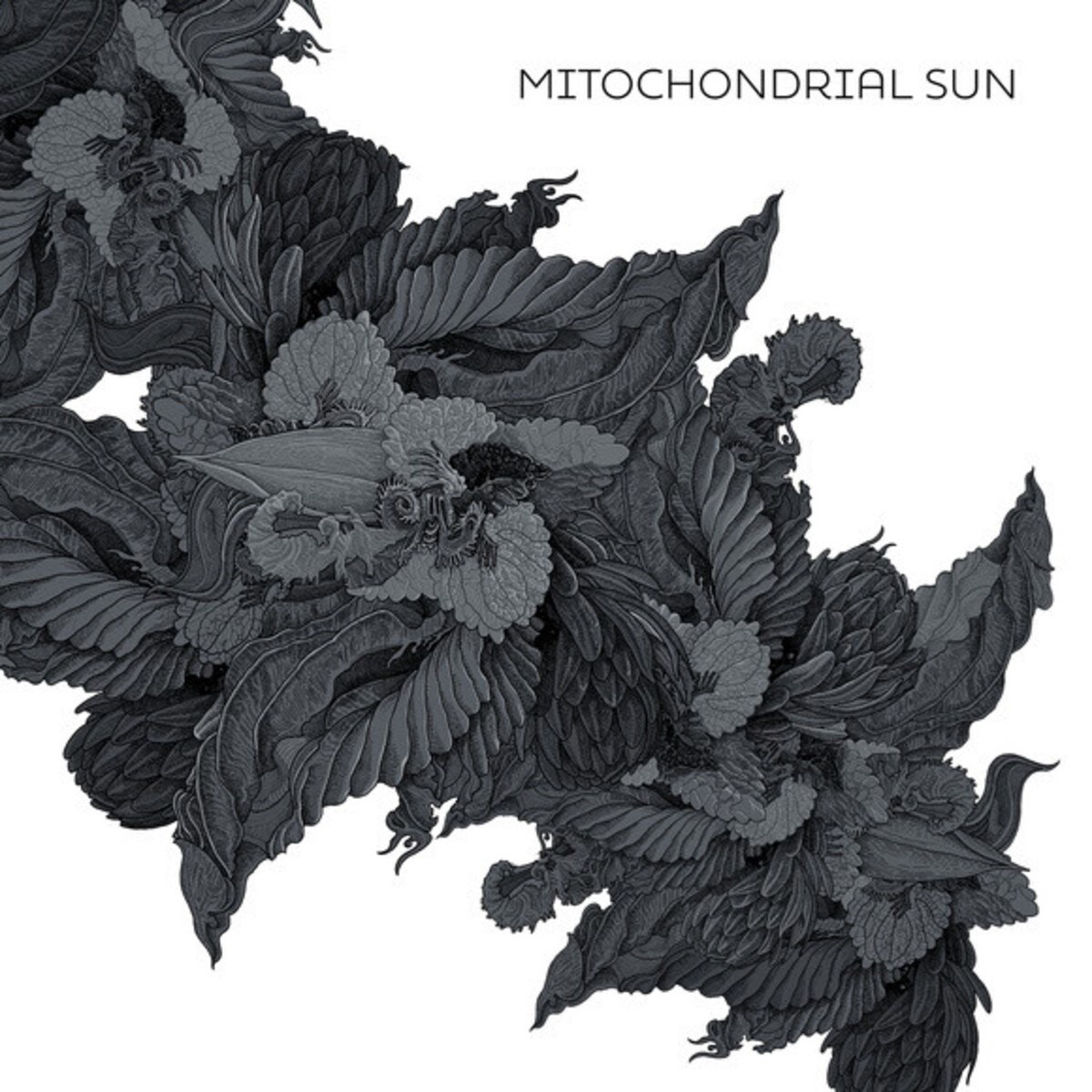 Afbeelding van Mitochondrial Sun - Mitochondrial Sun