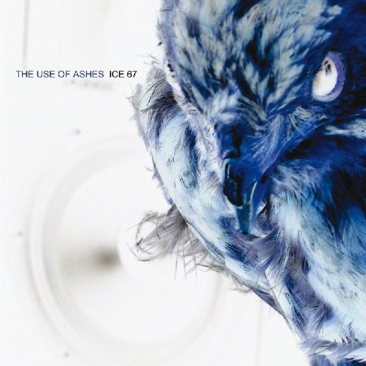Afbeelding van Use Of Ashes - Ice 67