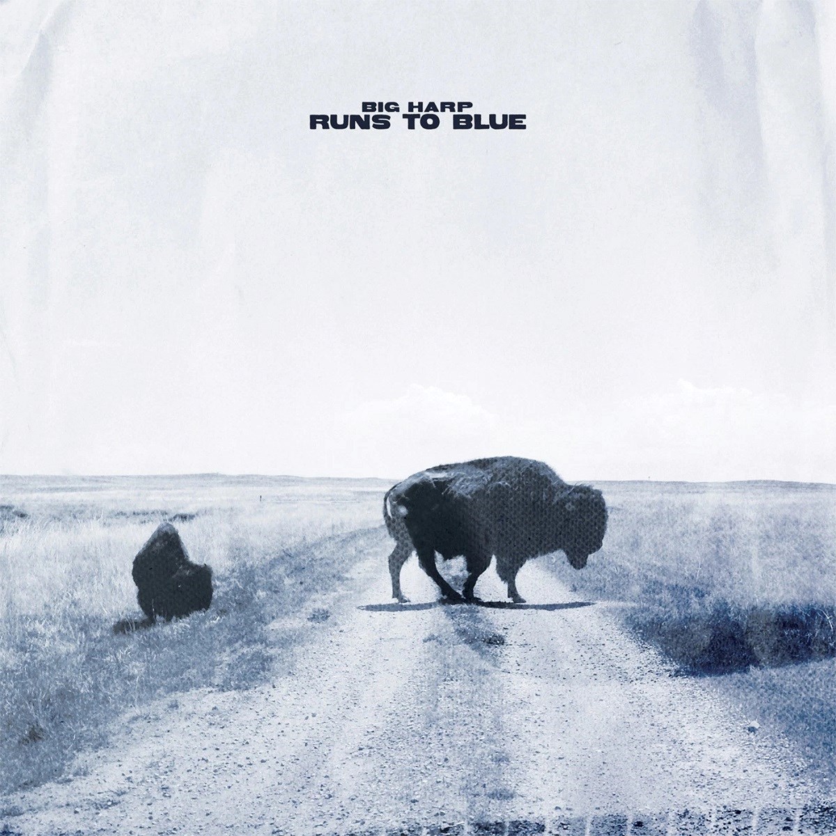 Afbeelding van Big Harp - Runs To Blue