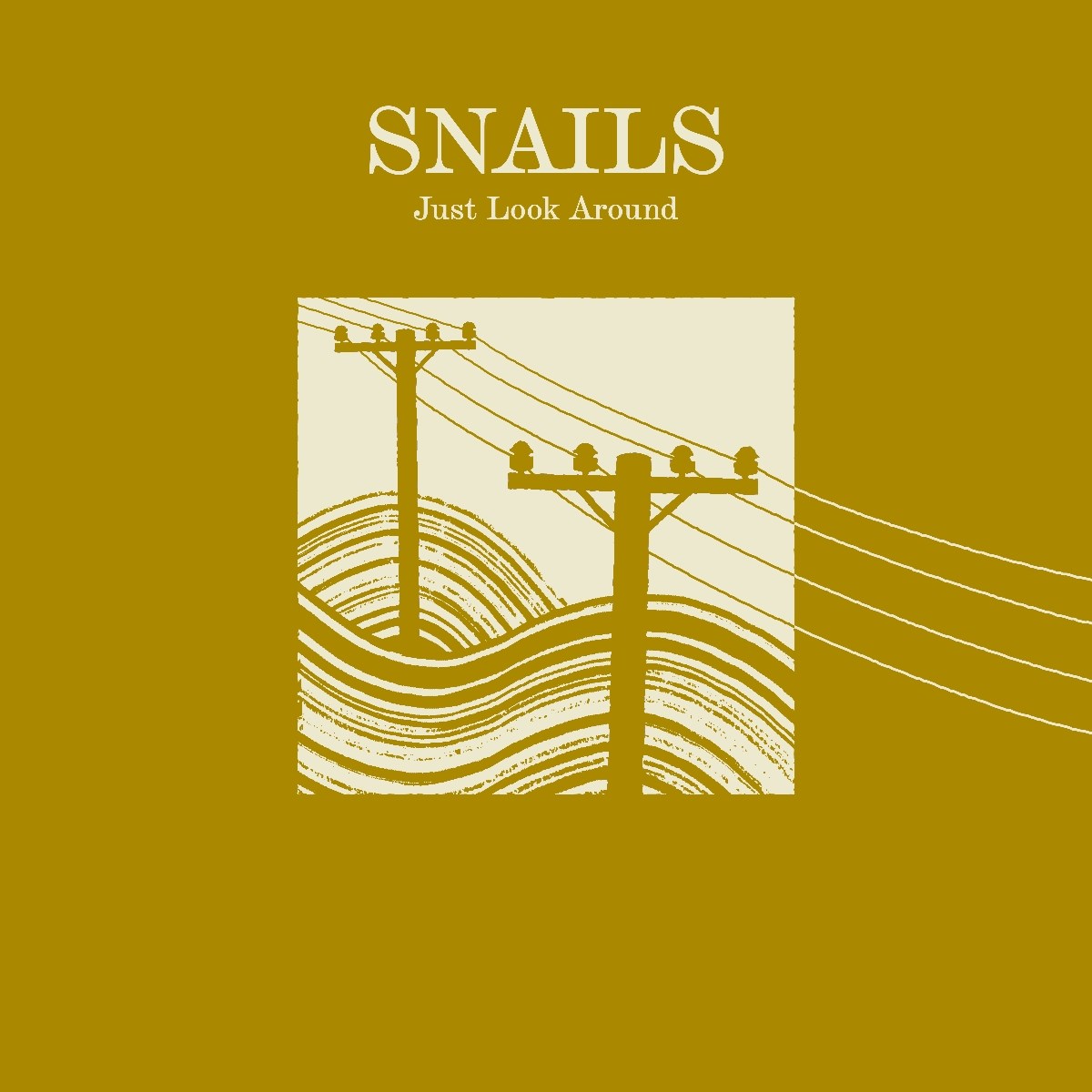 Afbeelding van Snails - Just Look Around