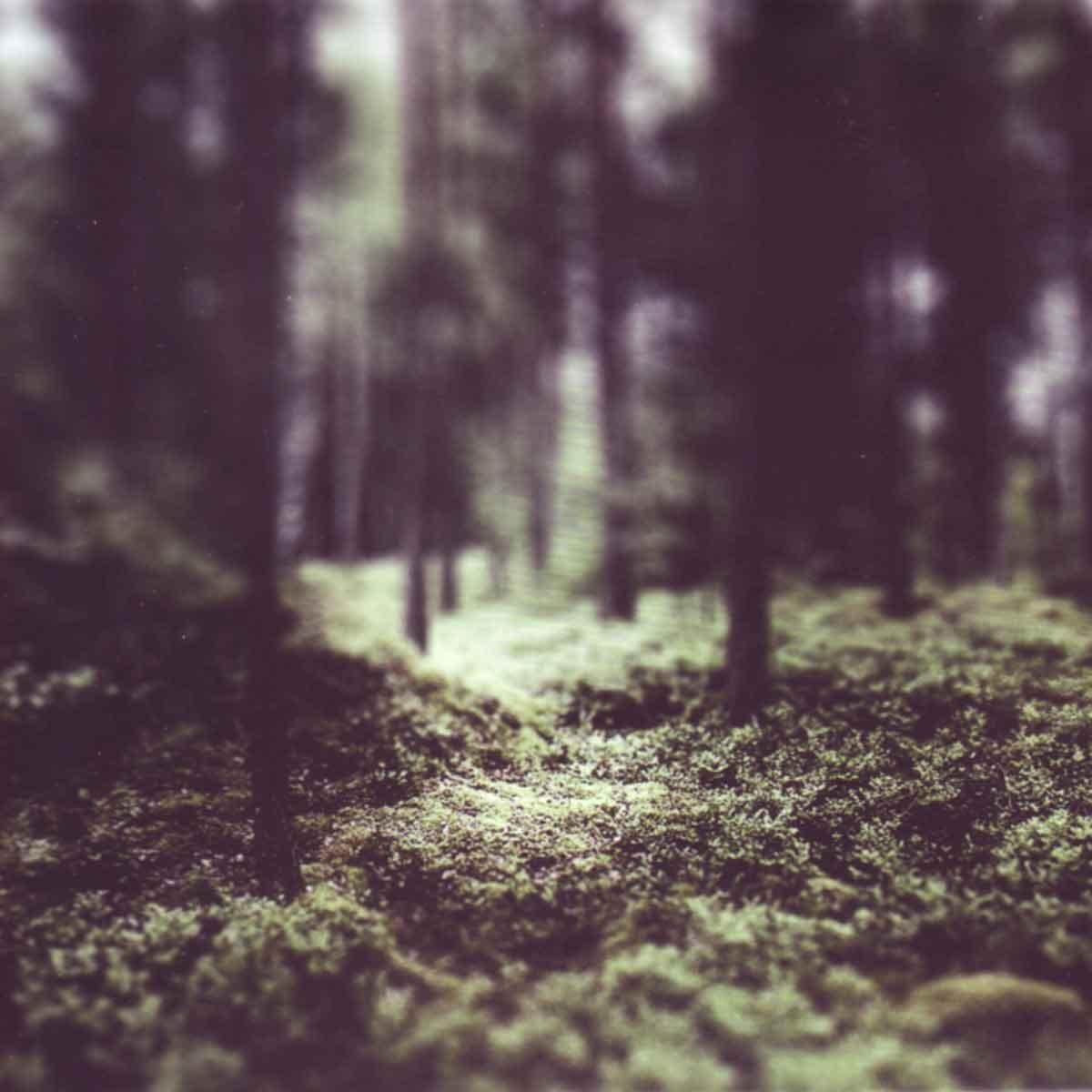 Helge Lien Trio - Hello Troll