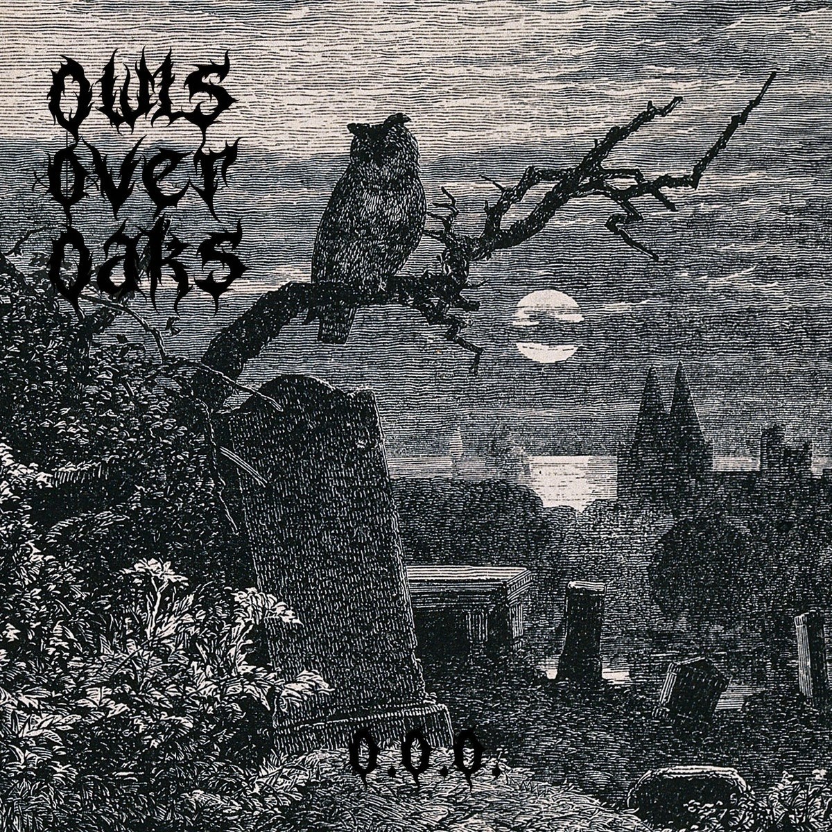 Afbeelding van Owls Over Oaks - Owls Over Oaks