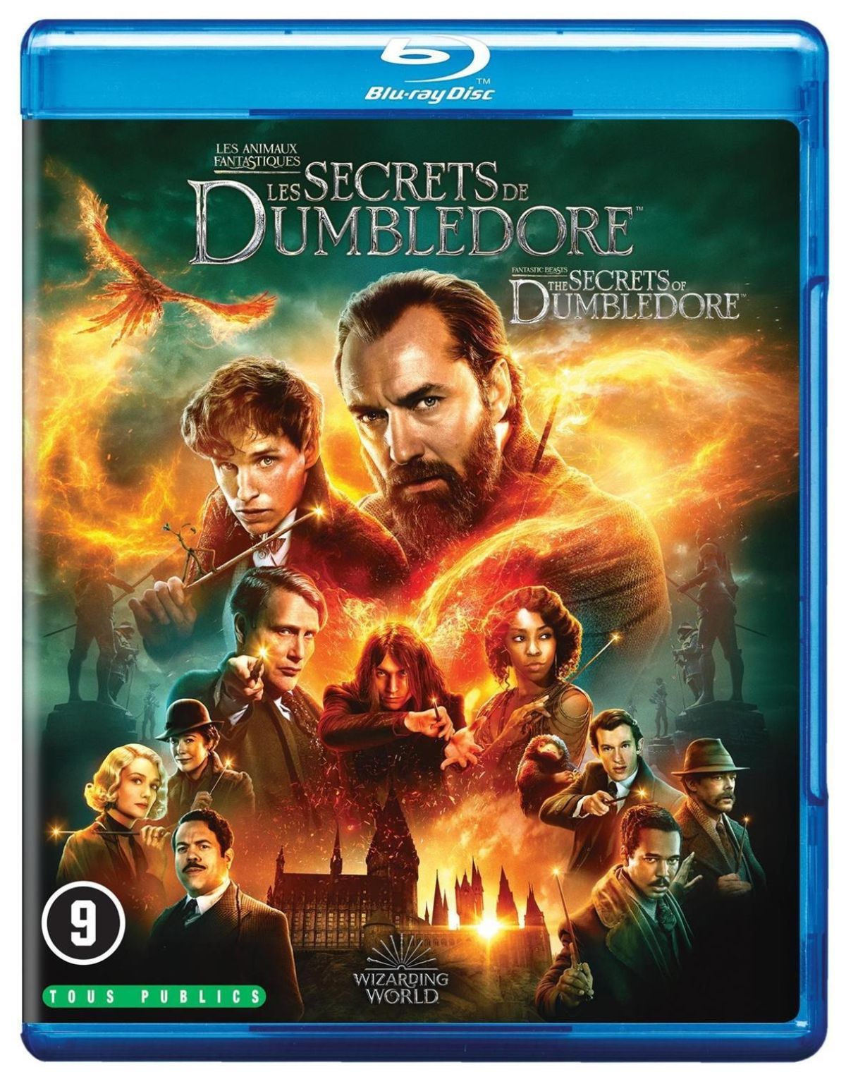 Afbeelding van Fantastic Beasts - The Secrets Of Dumbledore