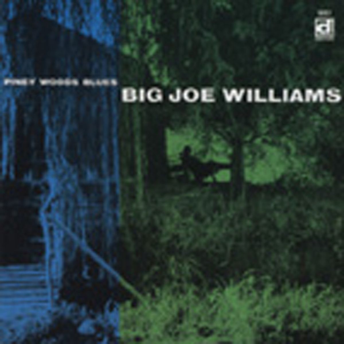 Afbeelding van Big Joe Williams - Piney Woods Blues