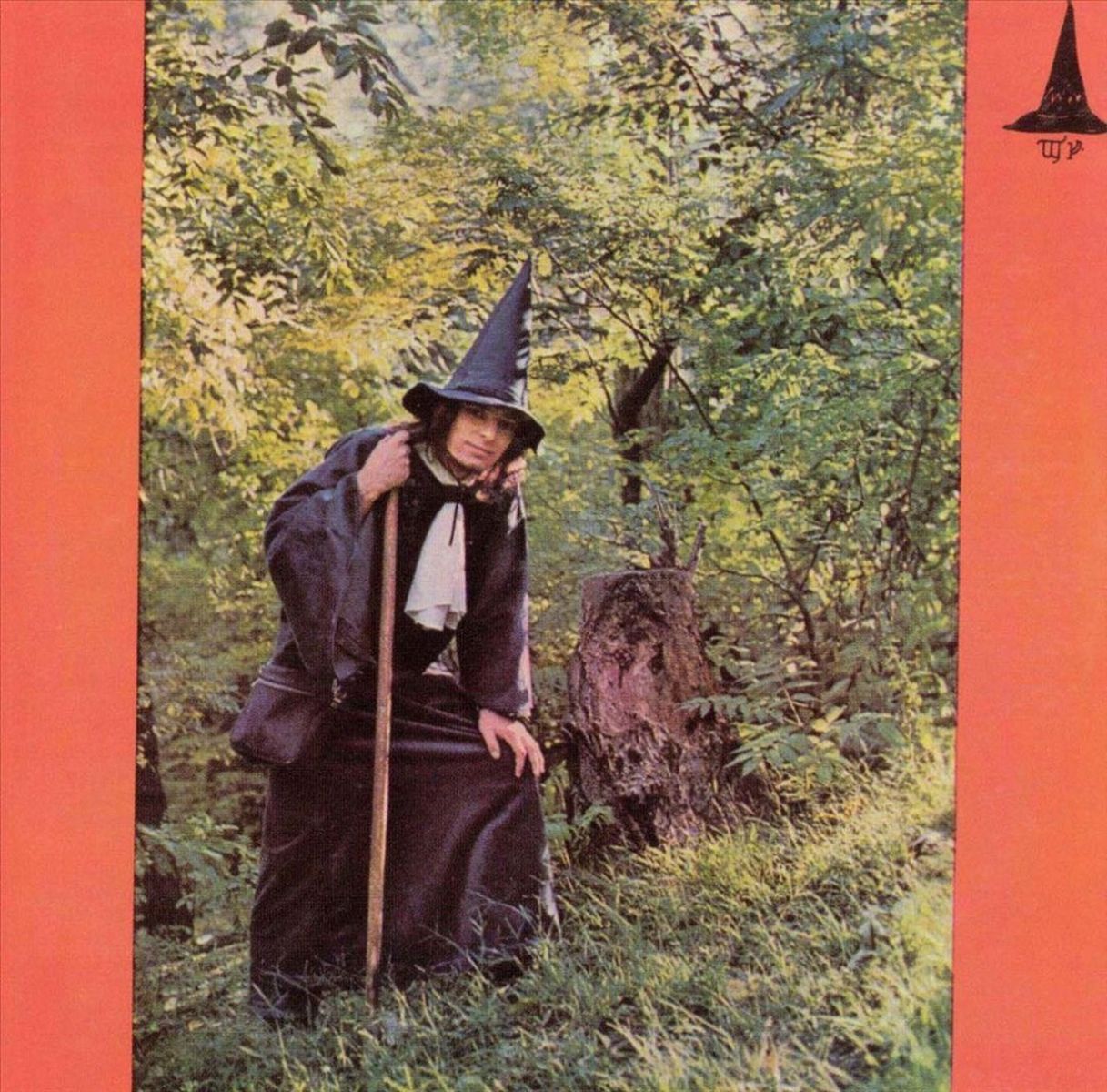 Gandalf The Grey - The Grey Wizard Am I