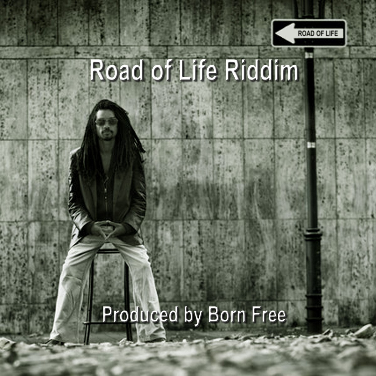 Afbeelding van Various Artists - Road Of Life Riddim