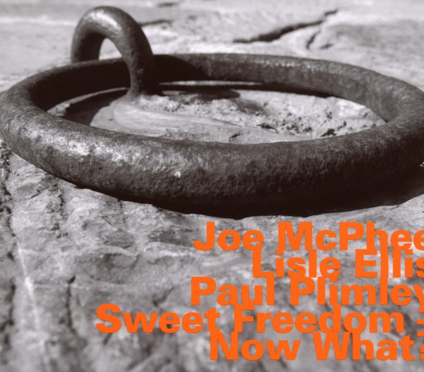 Afbeelding van Joe McPhee, Lisle Ellis, Paul Plimley - Sweet Freedom ? Now What?