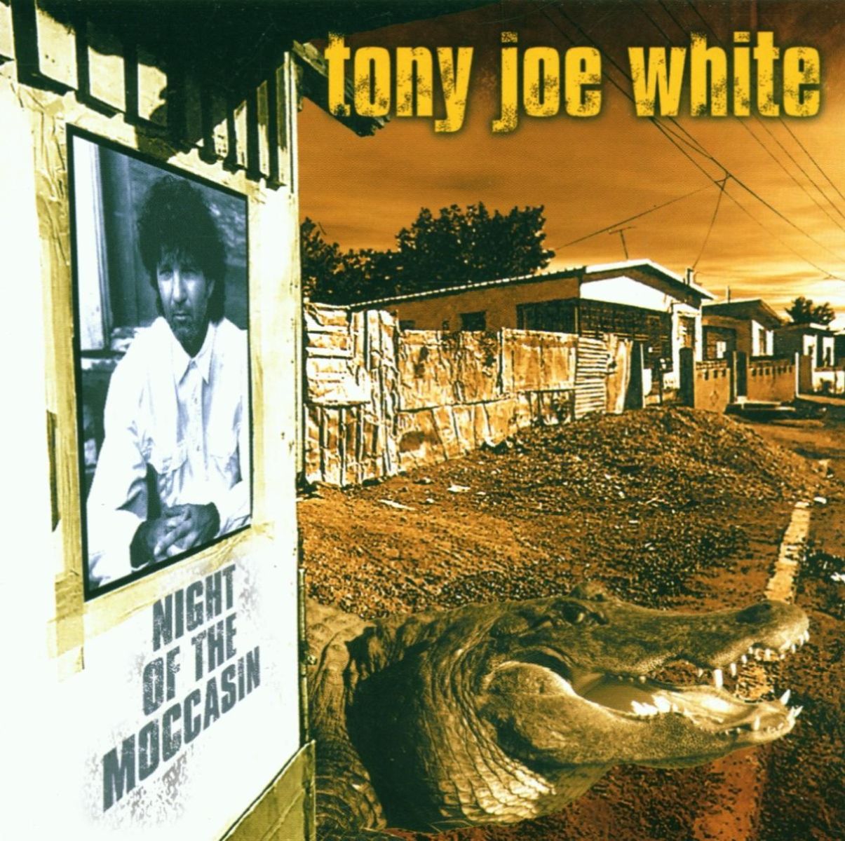 Afbeelding van Tony Joe White - Night Of The Moccasin