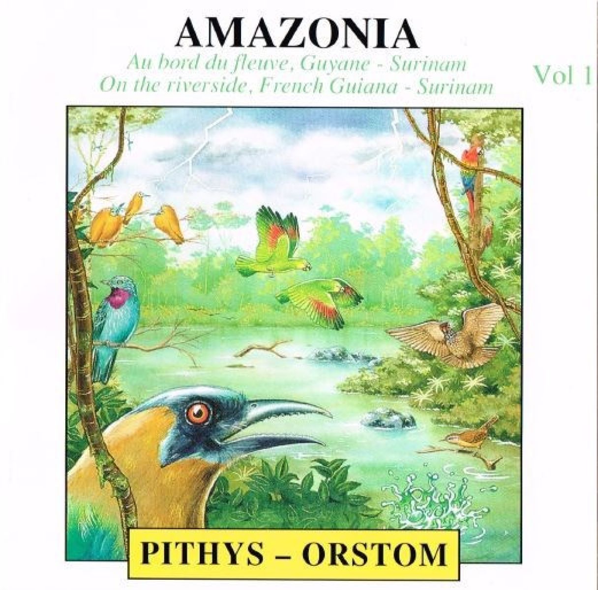 Pierre Huguet Et Olivier Tostain - Amazonia Vol 1: Au Bord Du Fleuve, Guyane - Surinam [On The Riverside, French Guiana - Surinam]