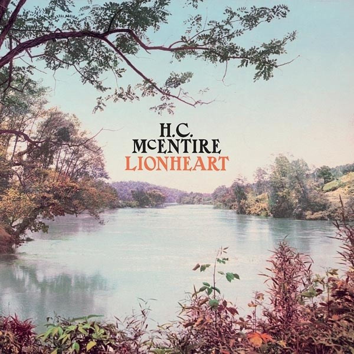 Afbeelding van Heather McEntire - Lionheart