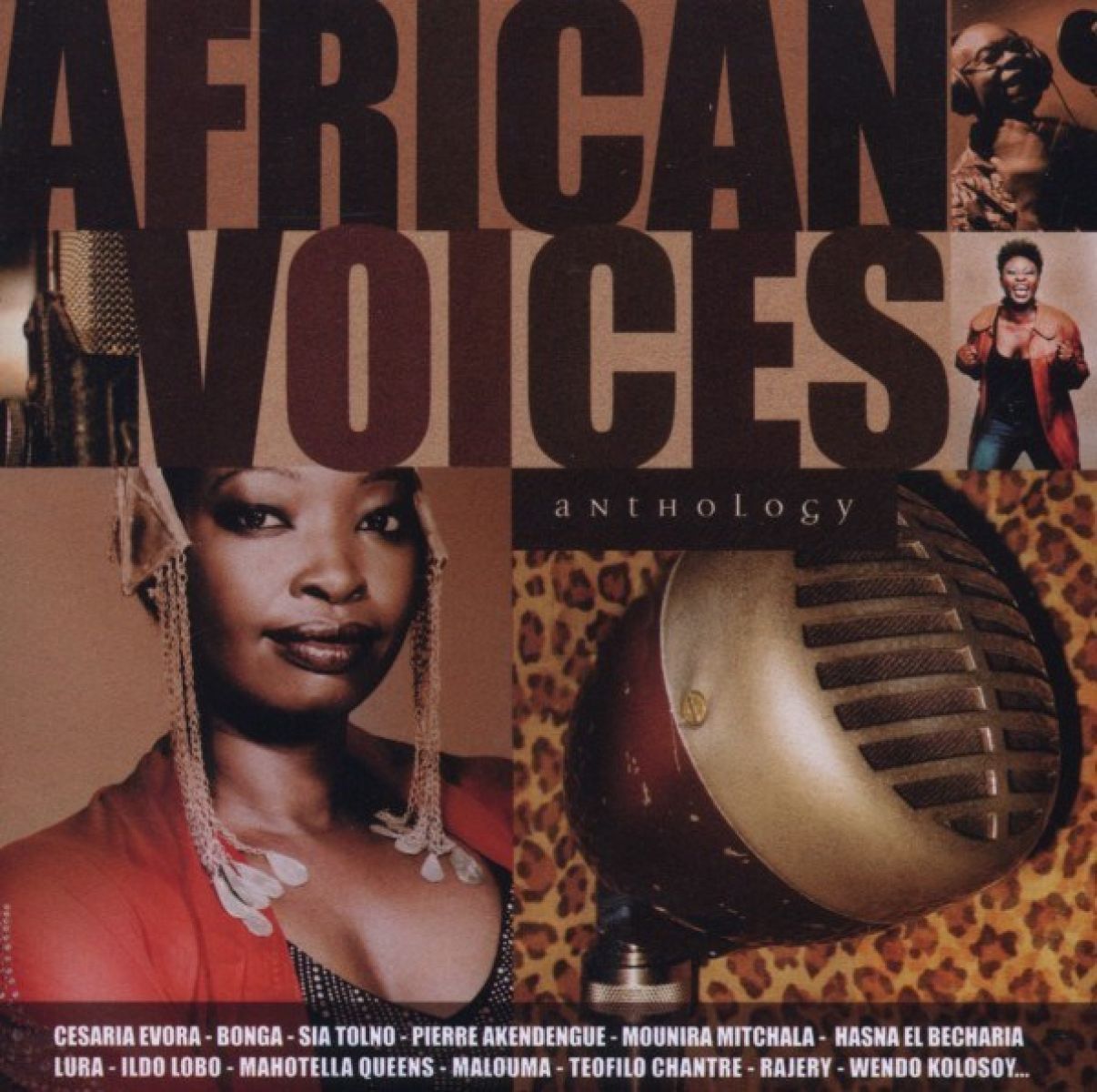 Afbeelding van Various Artists - African Voices Anthology