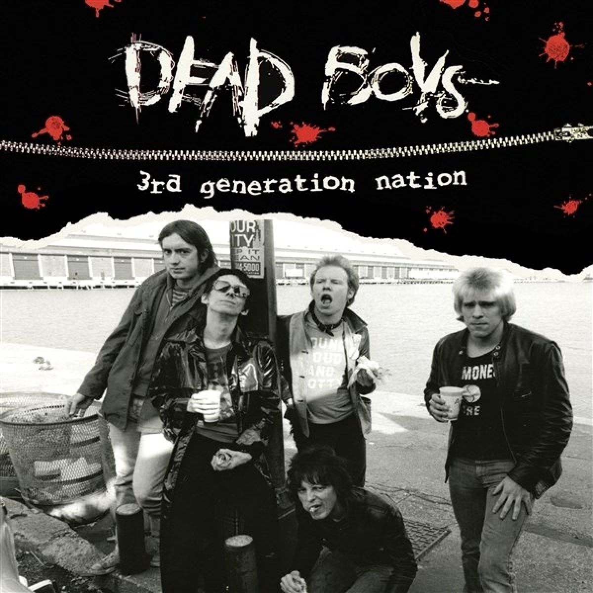 Afbeelding van Dead Boys - 3rd Generation Nation