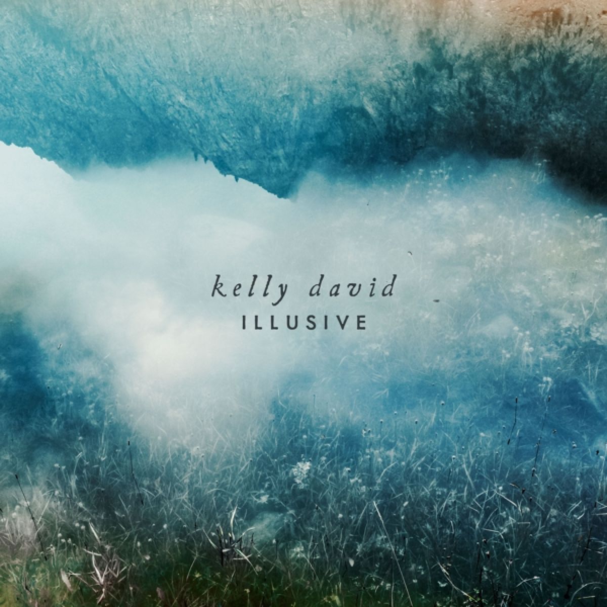 Afbeelding van Kelly David - Illusive