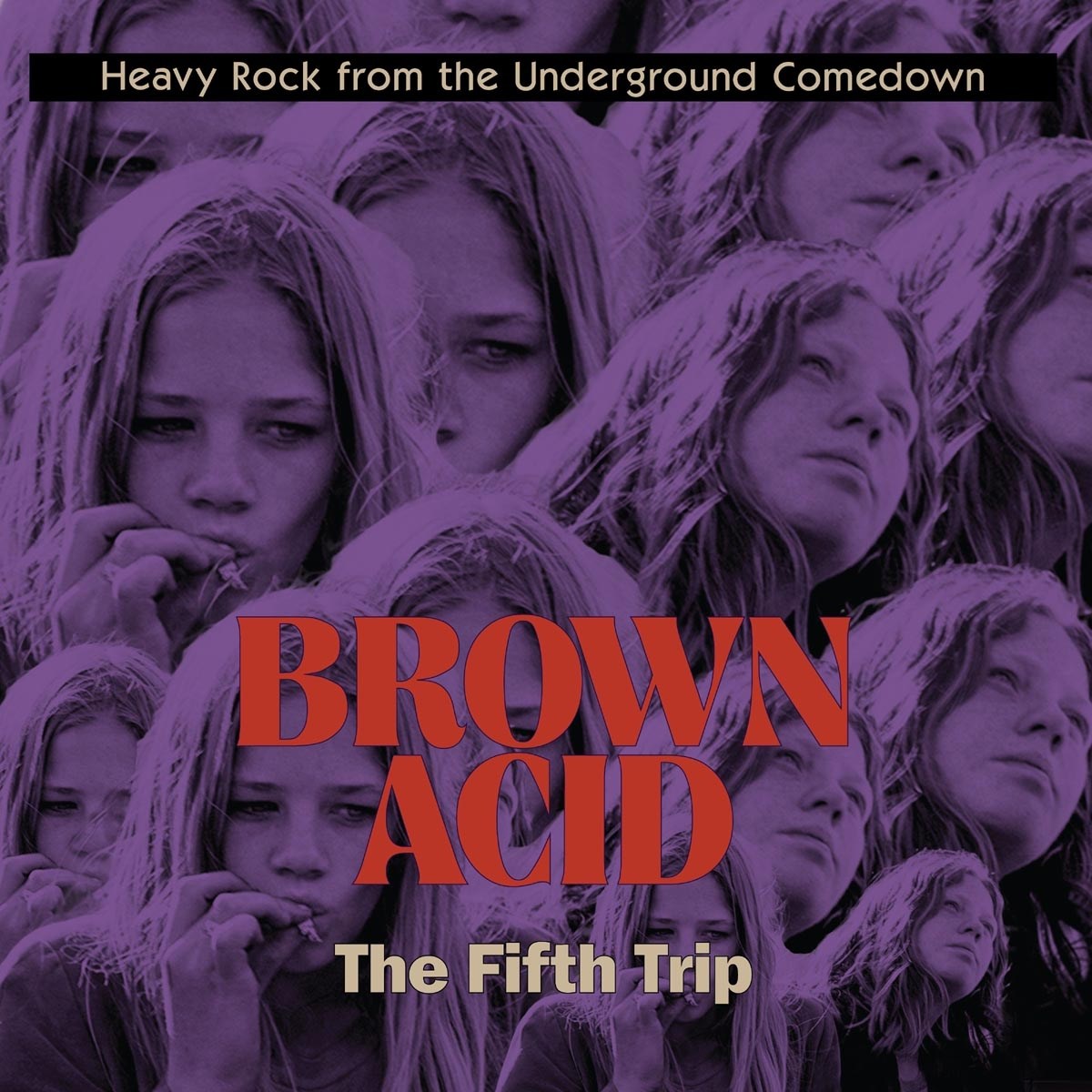 Afbeelding van Various Artists - Brown Acid: The Fifth Trip