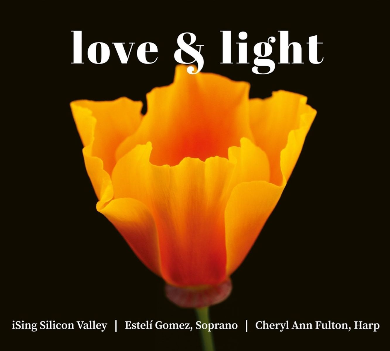 Afbeelding van Ising Silicon Valley - Love & Light