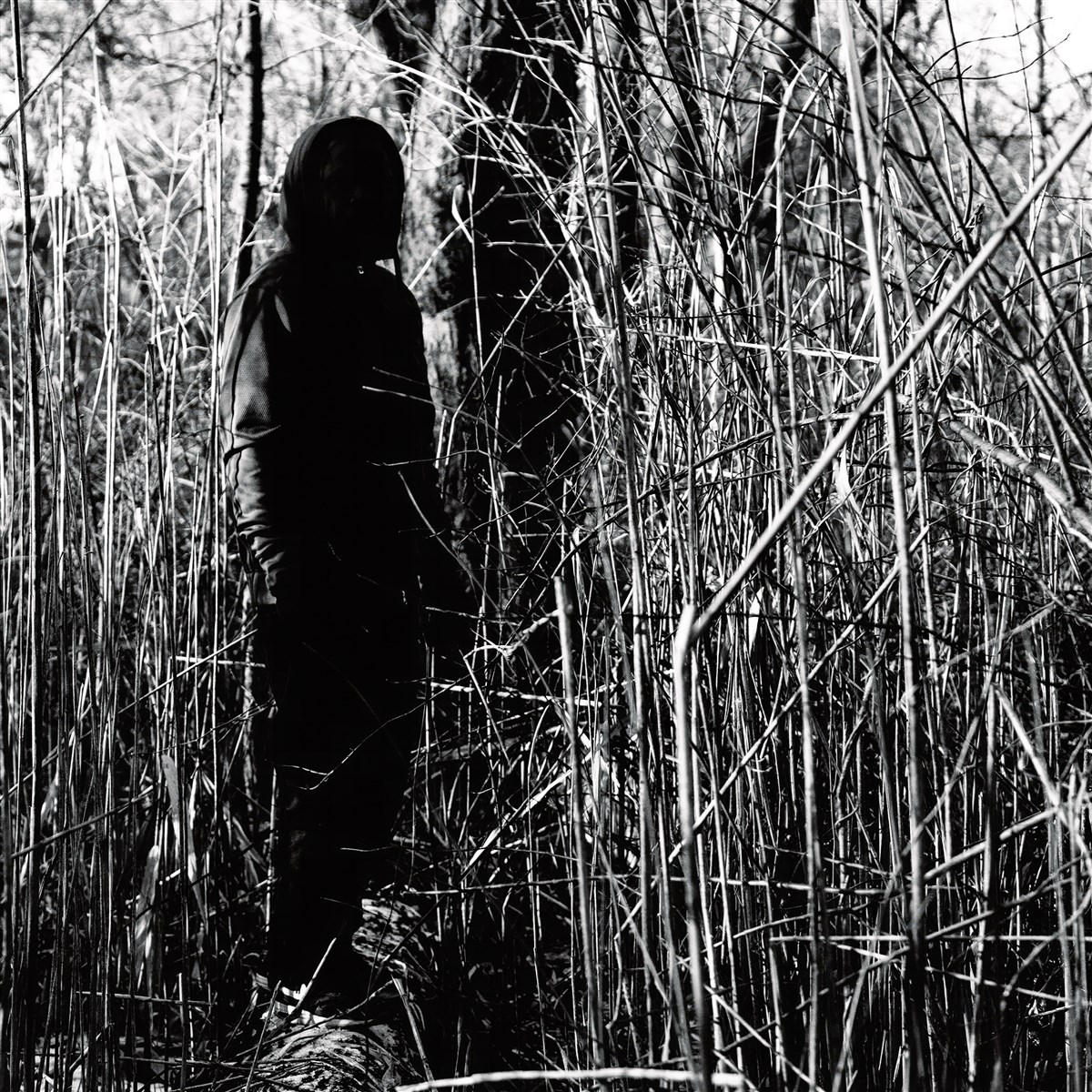 Afbeelding van Billy Woods - Today, I Wrote Nothing