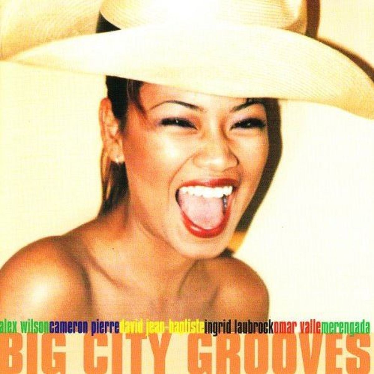 Afbeelding van Various Artists - Big City Grooves