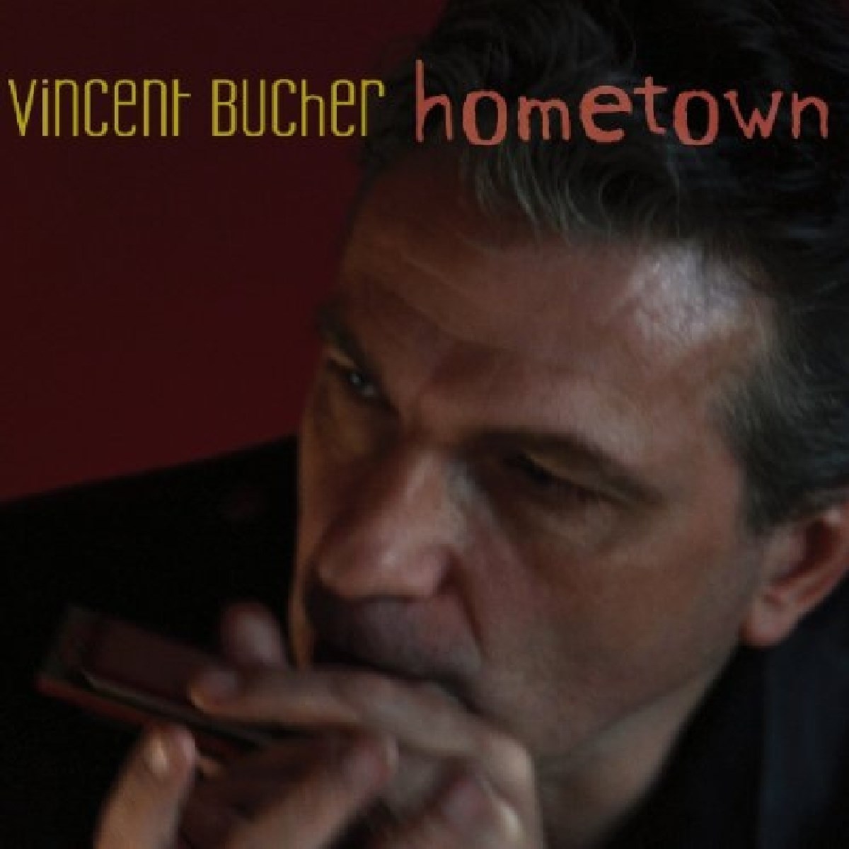 Afbeelding van Vincent Bucher - Hometown
