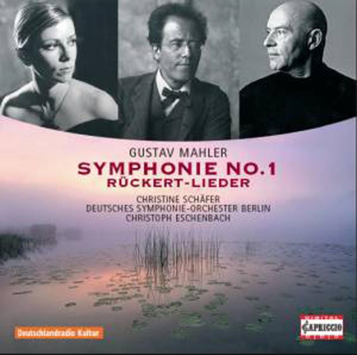 Afbeelding van Christine Schäfer, Deutsche Symphonie-Orchester berlin, Christoph Eschenbach - Mahler: Symphony No.1 & Rückert Lieder