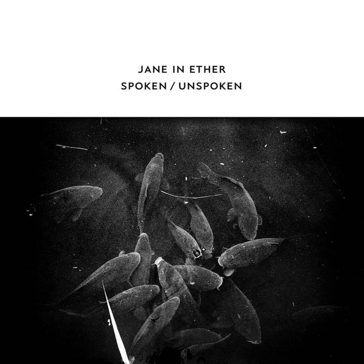 Afbeelding van Jane In Ether - Spoken / Unspoken