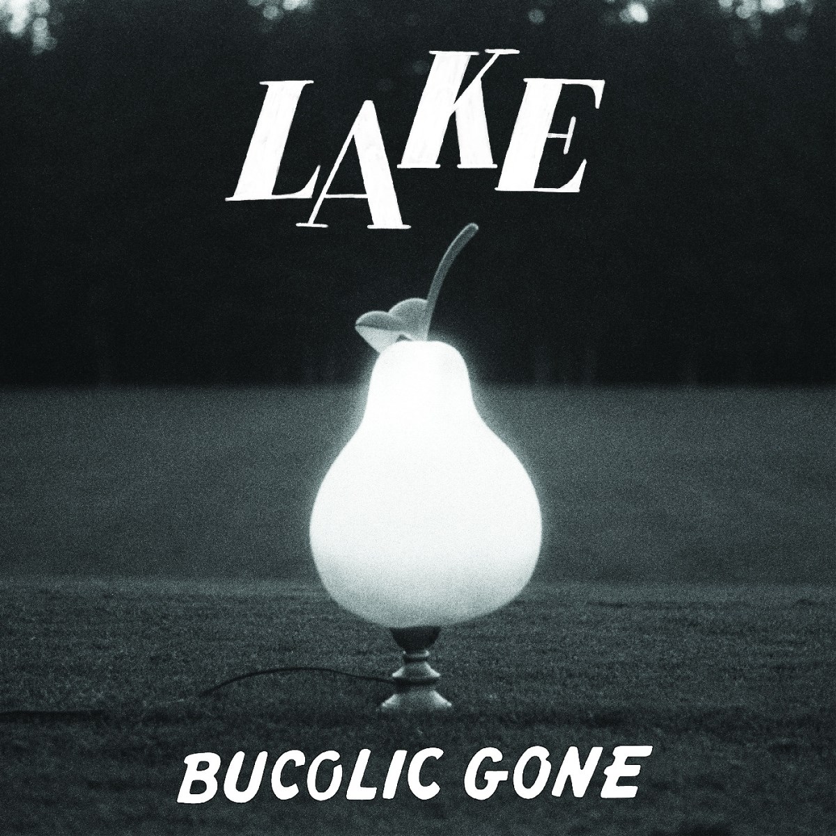 Afbeelding van Lake - Bucolic Gone