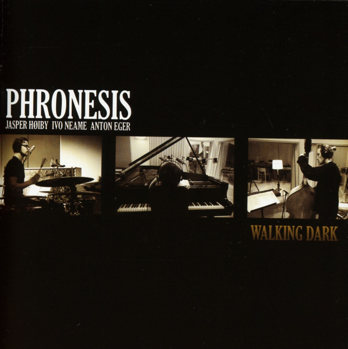 Afbeelding van Phronesis - Walking Dark