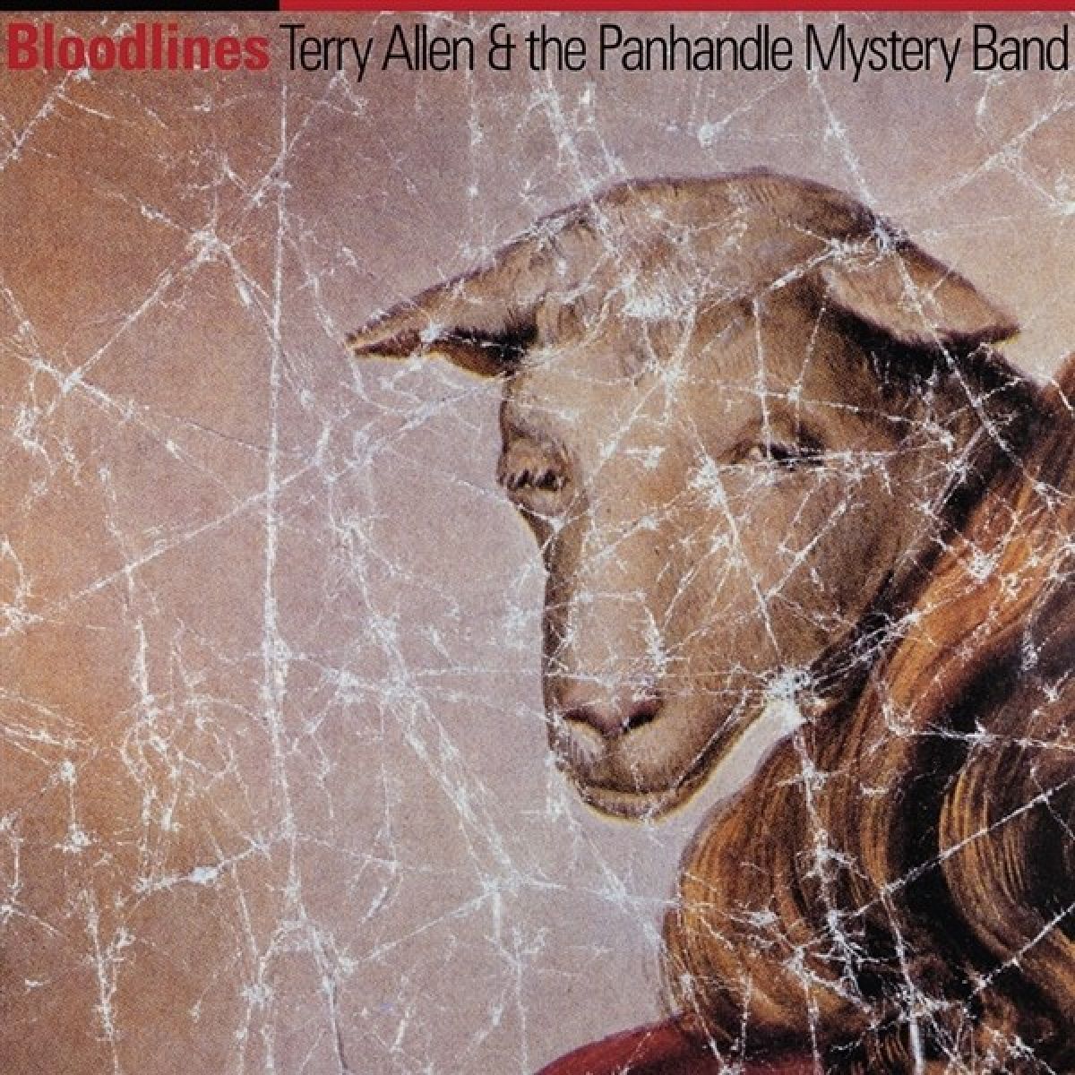 Afbeelding van Terry Allen & The Panhandle Mystery Band - Bloodlines