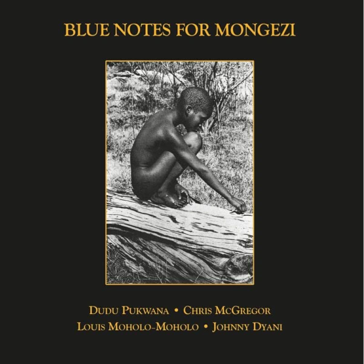 Afbeelding van Blue Notes For Mongezi