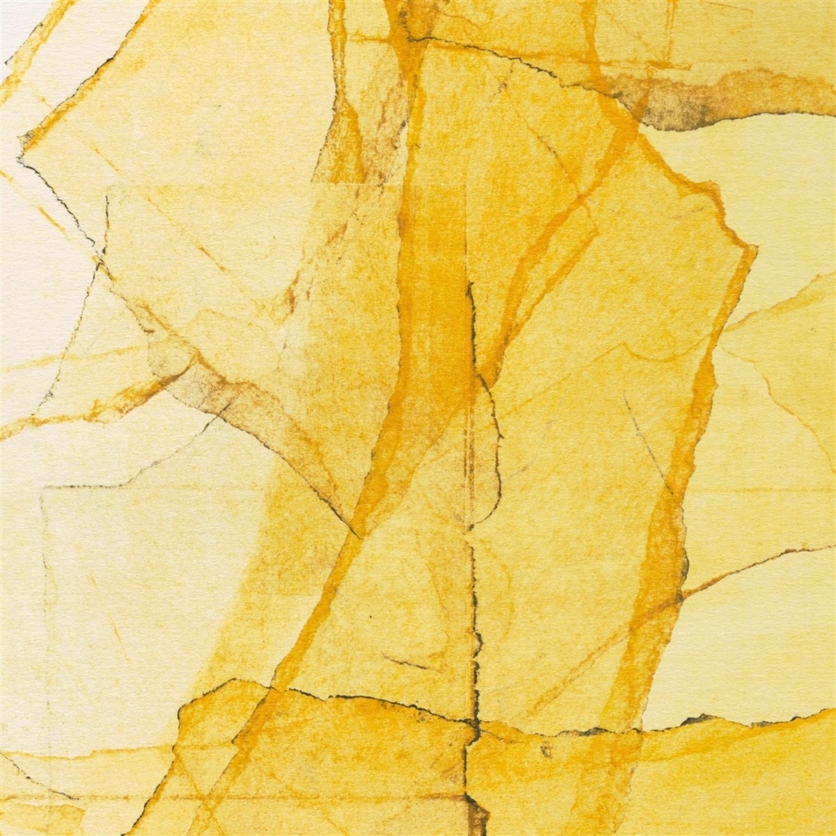 Afbeelding van Wadada Leo Smith & Amina Claudine Myers - Central Park's Mosaics Of Resevoir, Lake, Paths And Gardens