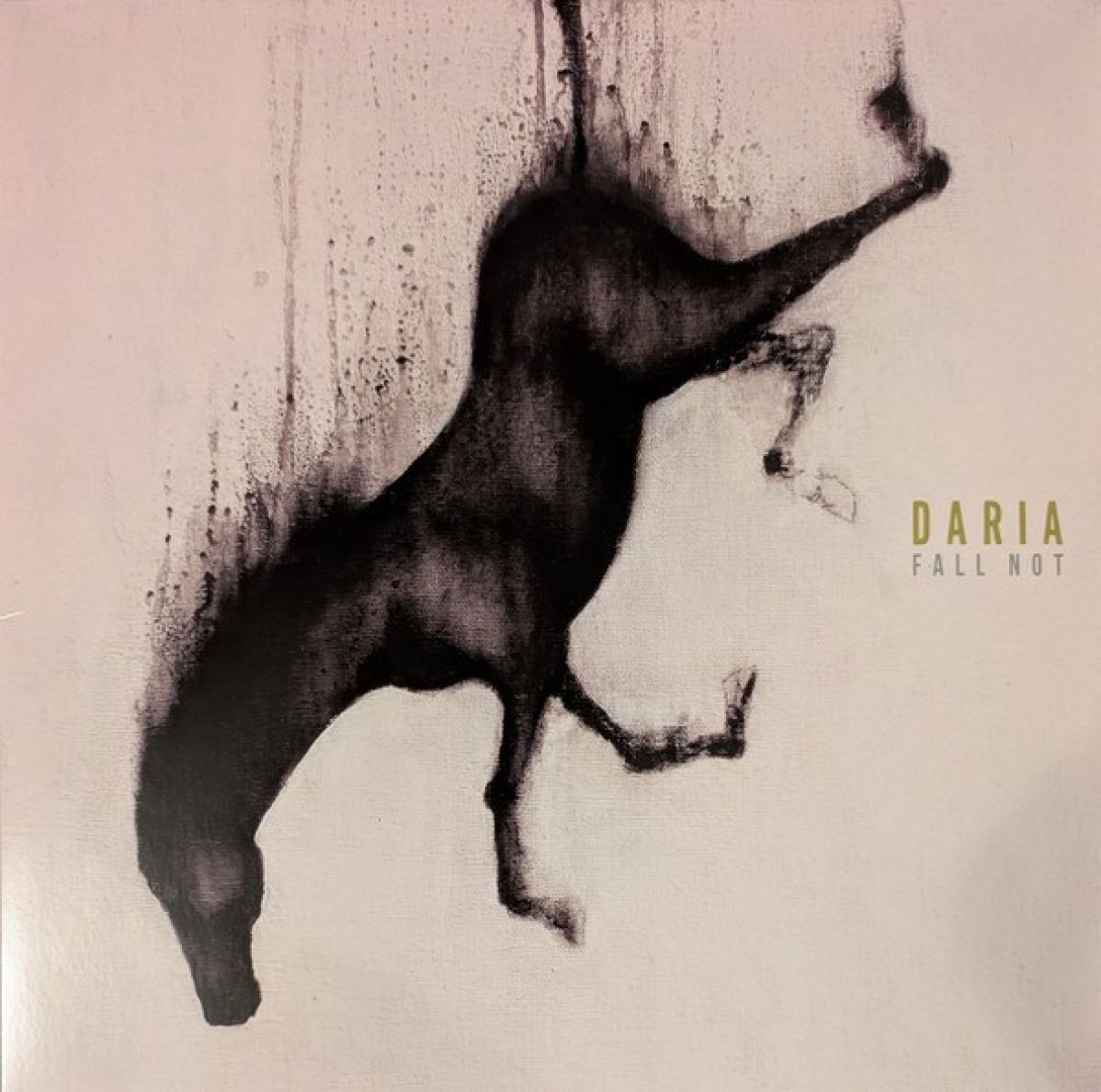 Afbeelding van Daria - Fall Not