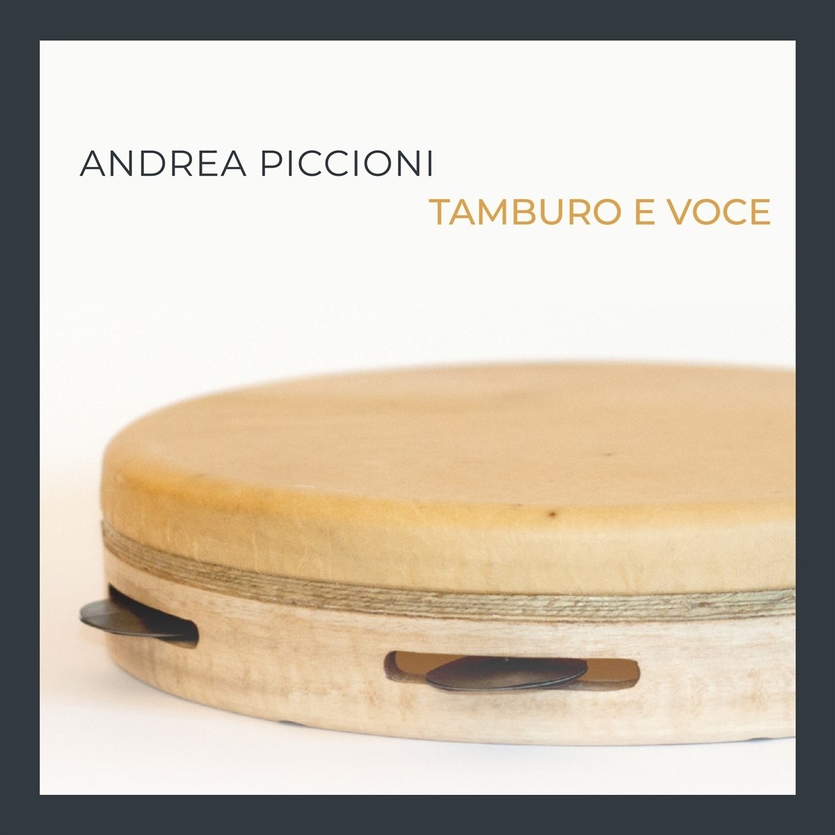 Andrea Piccioni - Tamburo E Voce