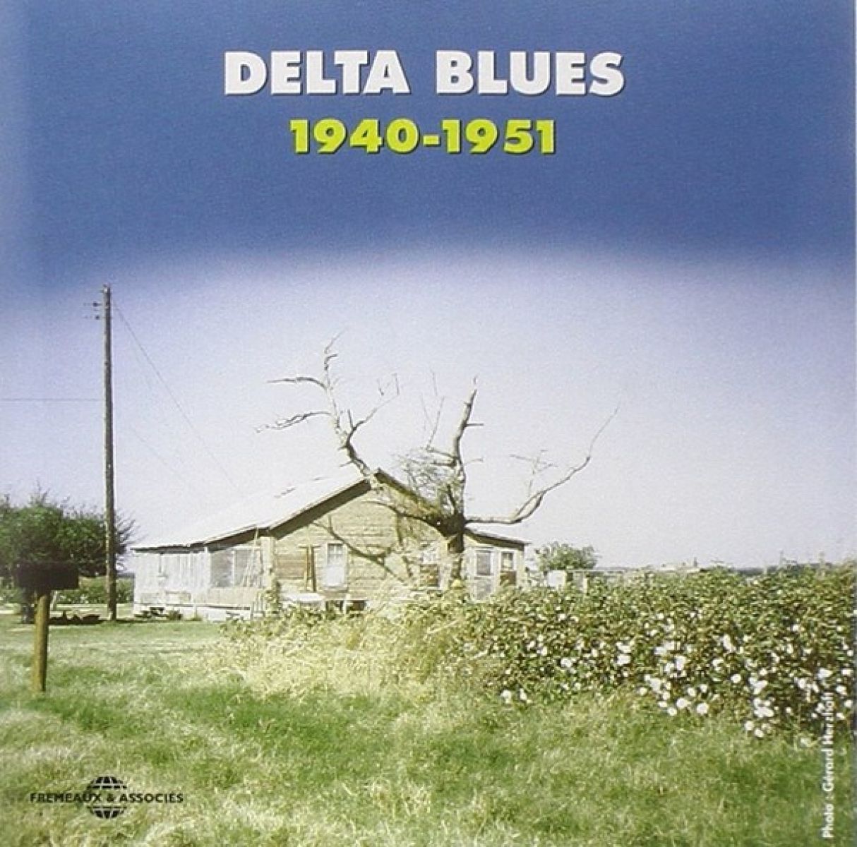 Afbeelding van Various Artists - Delta Blues 1940-1951