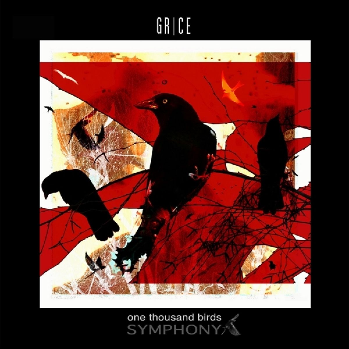 Grice - One Thousand Birds Symphony