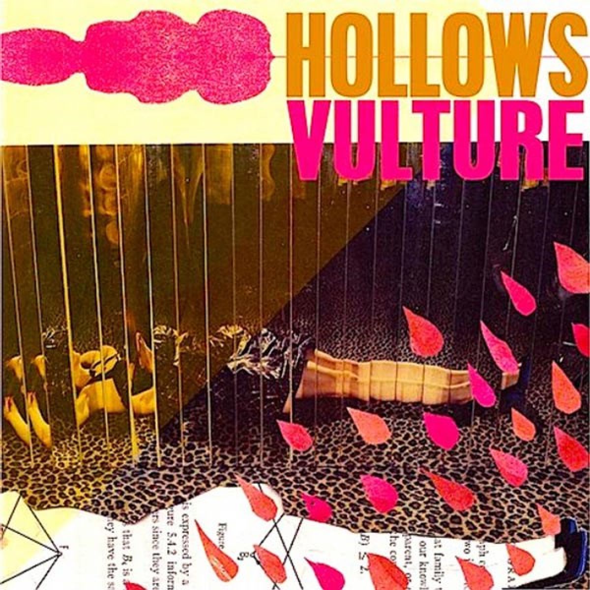 Afbeelding van Hollows - Vulture
