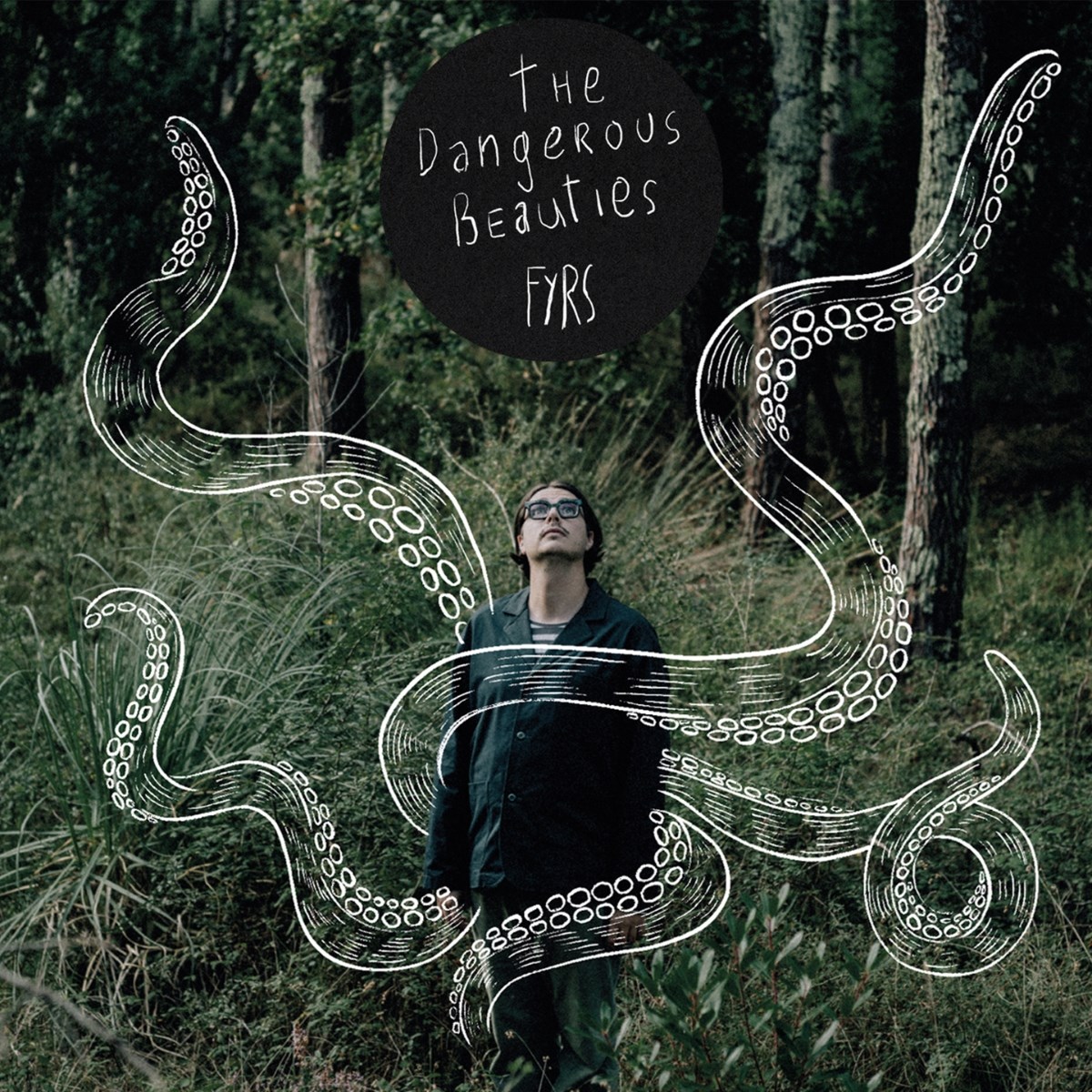 Afbeelding van The Dangerous Beauties