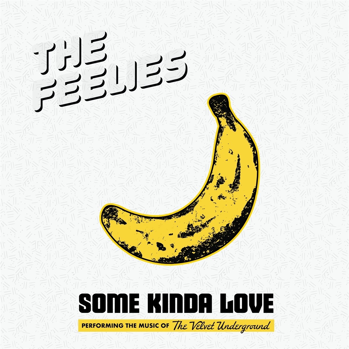 Afbeelding van The Feelies - Some Kinda Love: The Music Of The Velvet Underground