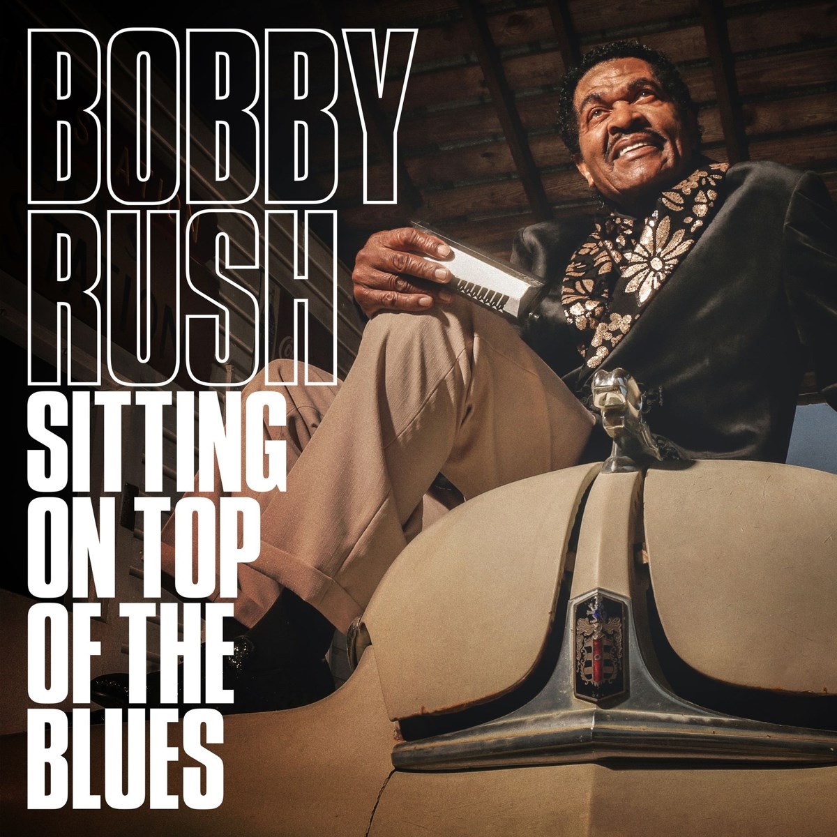 Afbeelding van Bobby Rush - Sitting On Top Of The Blues