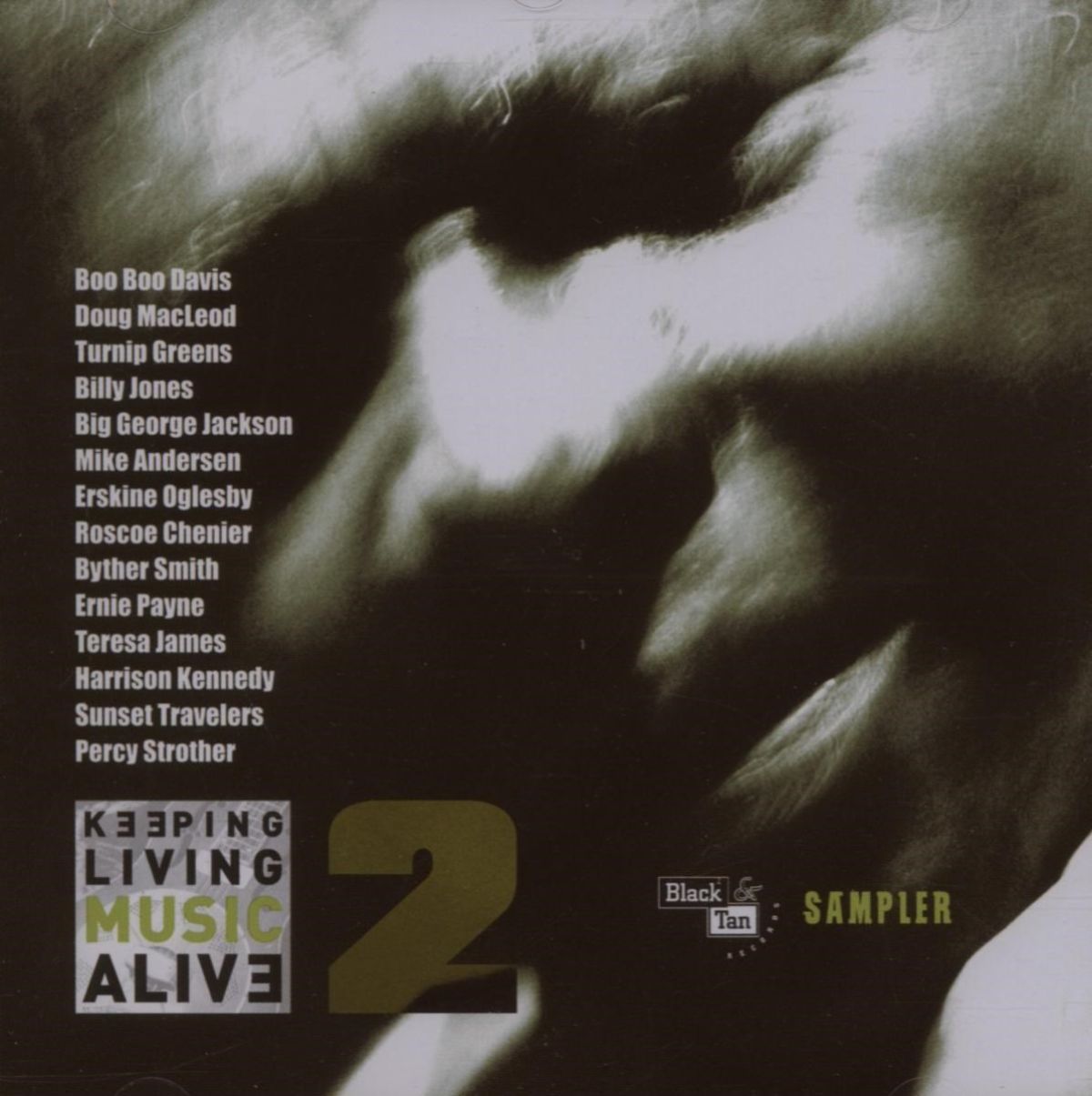 Afbeelding van Various Artists - Keeping Living Music Alive 2