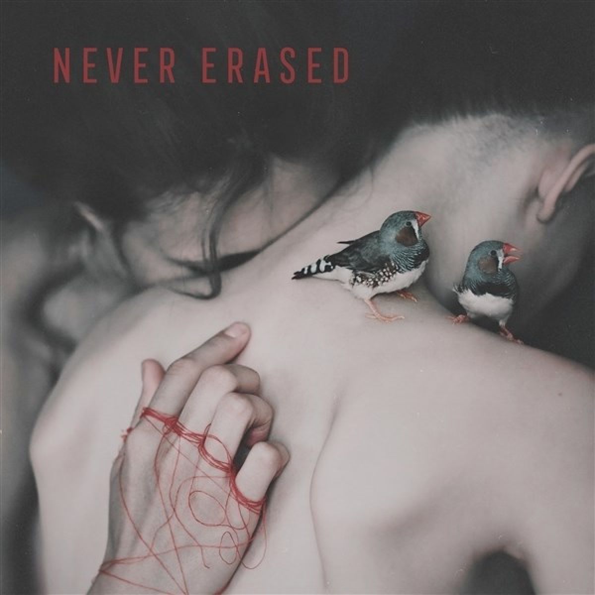 Afbeelding van Various Artists - Never Erased