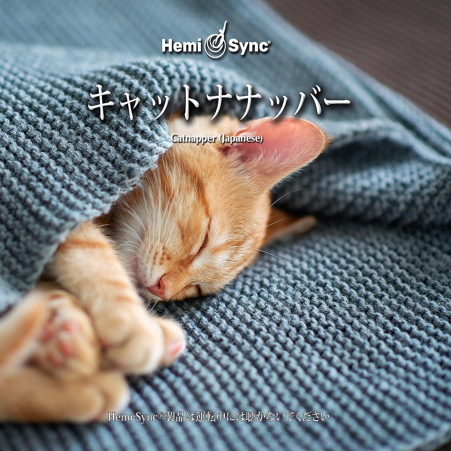 Various Artists - Catnapper (Japanese)
