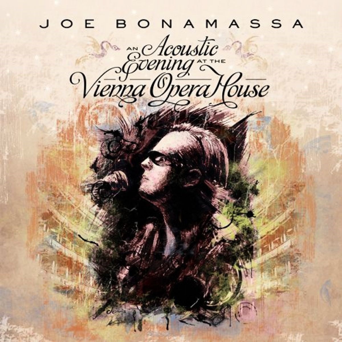 Afbeelding van An Acoustic Evening At The Vienna Opera House